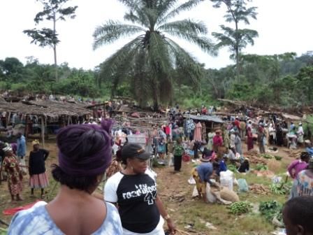 CHANGEMENT CLIMATIQUE : LES FEMMES RURALE PEUVENT APPORTER DES SOLUTIONS